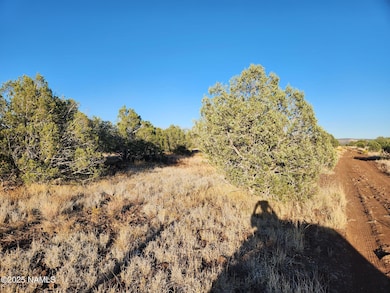 3405 W Pinto Dr, Ash Fork, AZ 86320 - photo 3