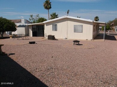Backyard 1