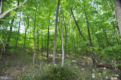 00 Pennsylvania 61, Ashland, PA - photo 5