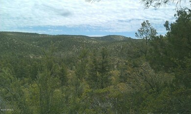 IMAG0276