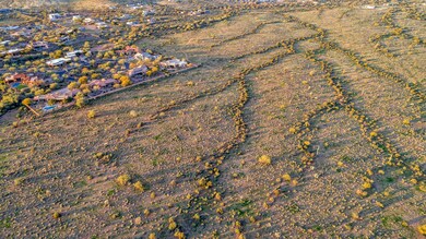DJI_0718