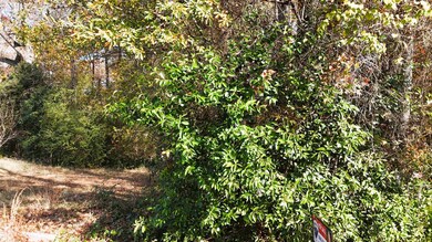 000000 Poplar St, Woodruff, SC 29388 - photo 2