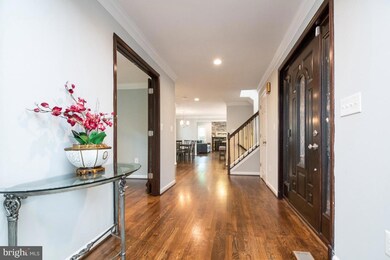 4034 7th St S, Arlington, VA 22204 - photo 6