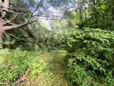 685 County Route 25, Corinth, NY 12822 - photo 3