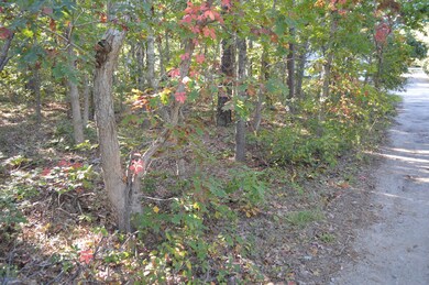 15 13th St N, Edgartown, MA 02539 - photo 5