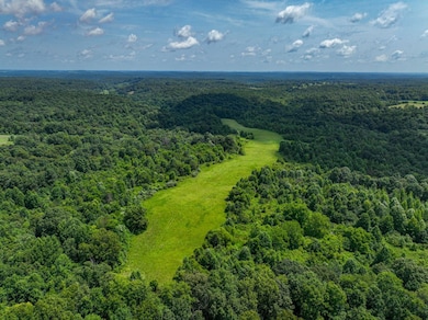 0 Scenic Ln unit LotWP001 24246943, Horse Branch, KY 42349 - photo 2