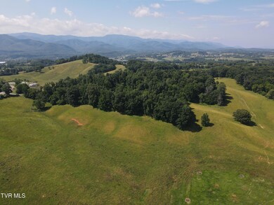 DJI_0991
