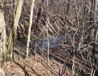 Beautiful creek in back yard