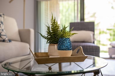 Clipper Cay unit 301, Annapolis, MD 21401 - photo 5