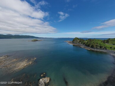 L1 Black Rock-Cliff Point Estates, Kodiak, AK 99615 - photo 5
