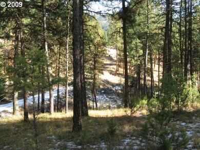 0 Eagle Rock unit 9088562, Canyon City, OR 97820 - photo 3