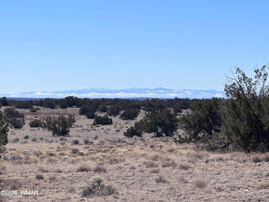 004P N7204, St. Johns, AZ 85936 - photo 7