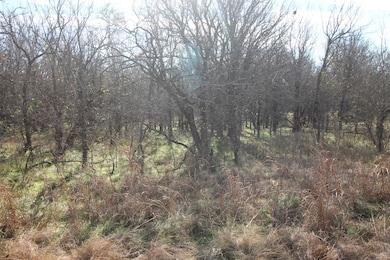 Lot 21 Cheyenne Dr, Bridgeport, TX 76426 - photo 3