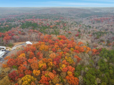 600 Hogan Pond Ln, Ball Ground, GA 30107 - photo 7