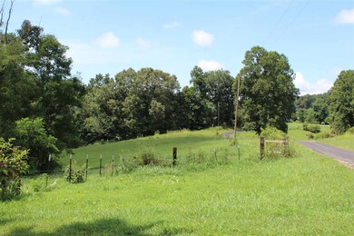 Parcel 40 Odom Rd, Rutledge, TN 37861 - photo 2