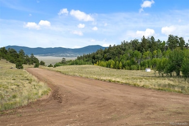 54 Lancelot Ln unit 10 & 11, Hartsel, CO 80449 - photo 5