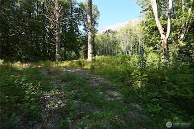 0 U S Highway 2, Baring, WA 98224 - photo 5