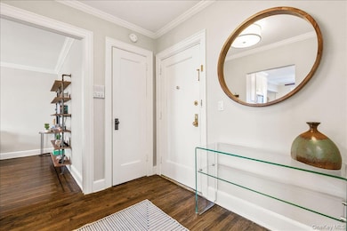 Entryway with large closet and hardwood flooring