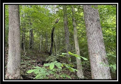 0 Old Union Rd unit 222021550, Ironton, OH 45638 - photo 3