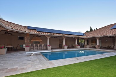 Backyard 3