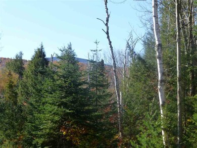 7 Rocky Rd, Winhall, VT 05340 - photo 2