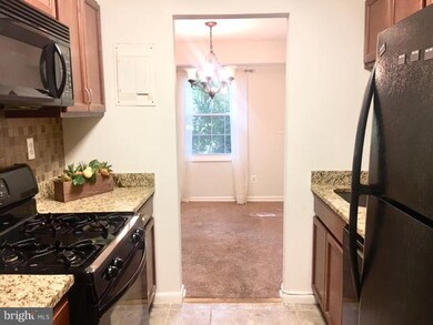 3814 Lyndhurst Dr unit 101, Fairfax, VA 22031 - photo 7