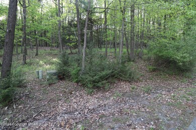 Corner of lot