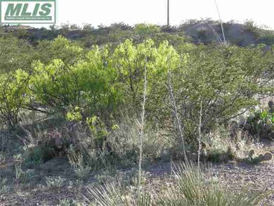 755 Lonesome Rd, Las Cruces, NM 88007 - photo 7