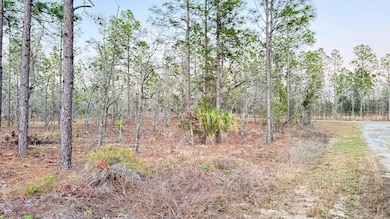 00 SE 130th Ct, Dunnellon, FL 34431 - photo 3