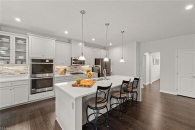 Kitchen featuring dark engineered hardwood floors,