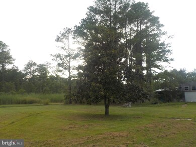 2126 Andrews Rd, Crapo, MD 21626 - photo 4