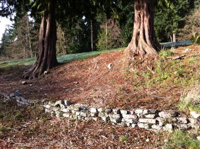 834 Dalton Ln, Langley, WA 98260 - photo 7