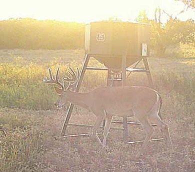 County Road 171, Sandia, TX 78383 - photo 4