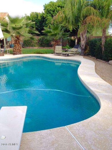 Pool & Trees 2