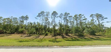 0 River Ranch Blvd unit MFRO6247365, Lake Wales, FL 33898 - photo 2