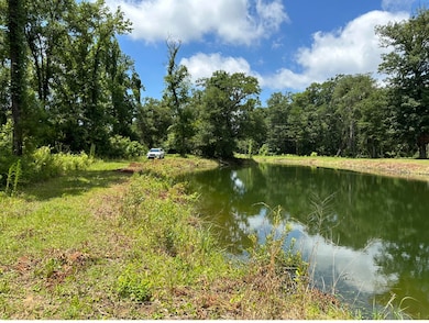 Pond on Neighboring lot