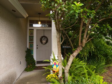 1080 Little Cypress