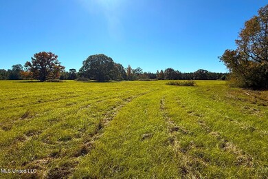 0 Emma Kelly unit 4132130, Magnolia, MS 39652 - photo 5