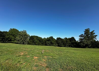 IMG_1548