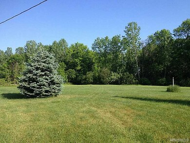 Backyard.