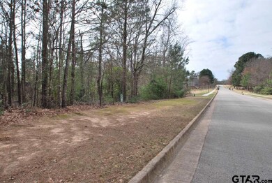 2045 Equestrian Ln, Tyler, TX 75703 - photo 4