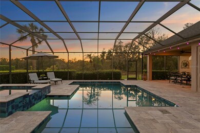 15817 Sorawater Dr, Lithia, FL 33547 - photo 2