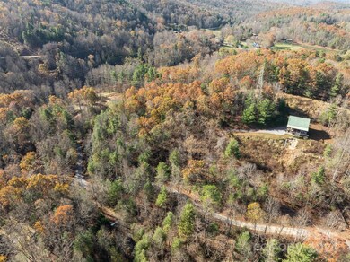 99999 Big Raven Ln, Saluda, NC 28773 - photo 5