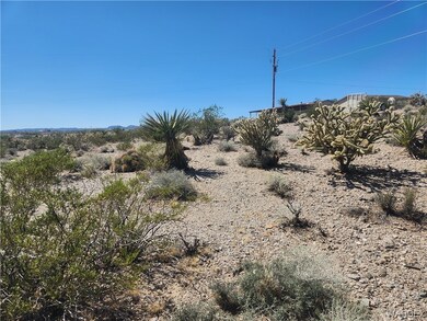 View of local wilderness