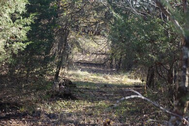 Buick, Vivian Milo 017