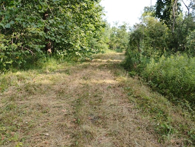 V/L 60 1 2 St, Bangor, MI 49013 - photo 5