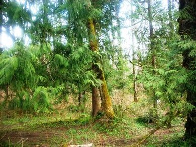 391 307th Ave SE, Enumclaw, WA 98022 - photo 2