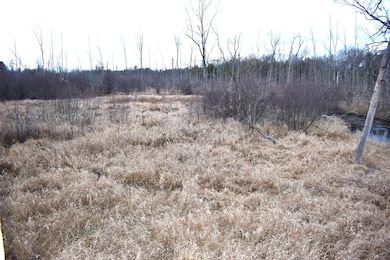 646 W 3 Mile Rd, Luther, MI 49656 - photo 4