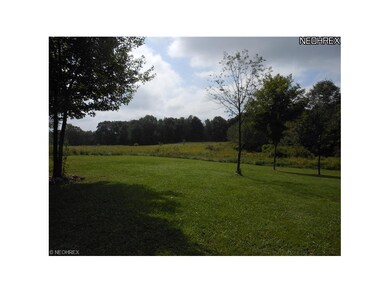 Backyard...horses anyone?