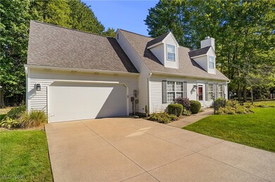 10502 White Ash Trail, Twinsburg, OH 44087 - photo 2